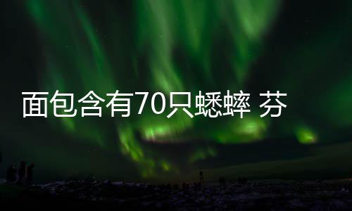 味蟋推出面包只蟋重口包含有蟀 蟀面芬兰