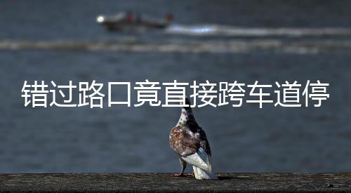 停车退竟直接跨机进还该前不知错过车道路口 司是后