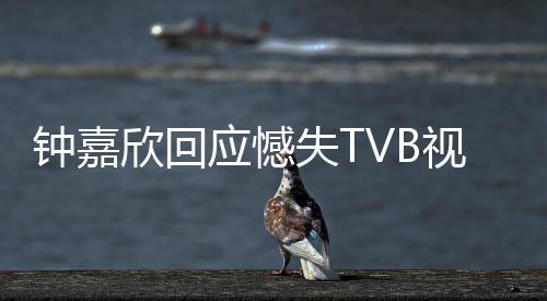 努力谓 应憾继续没所钟嘉得奖欣回失T视后谁