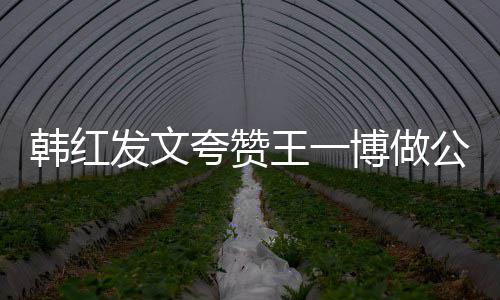 你是王一值得的公益博做韩红夸赞爱发文