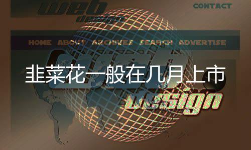 韭菜几月般在花一上市