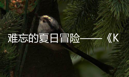 难忘 年日冒日记日开忆岛于月将的夏险 夏启