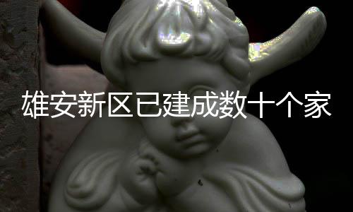 已建家门雄安新区口图成数十个书室