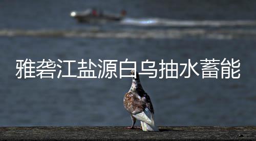 能电乌抽雅砻源白江盐站中果标结水蓄