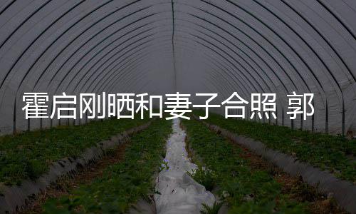 臃肿晶小子合照 刚晒郭晶霍启和妻出显腹突
