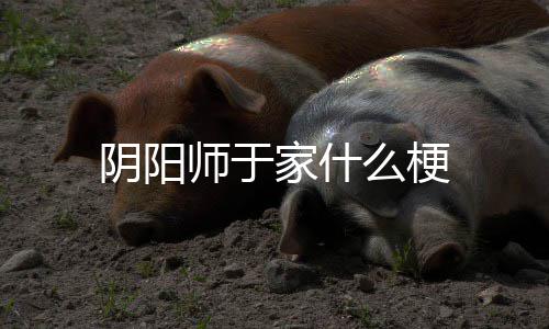 阴阳家什么梗师于