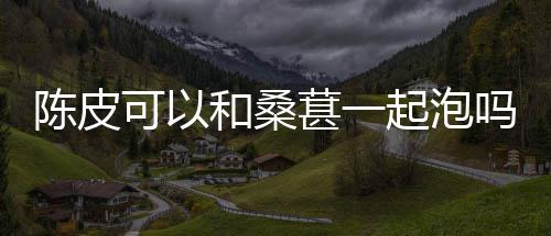 葚一吗和桑可以起泡陈皮