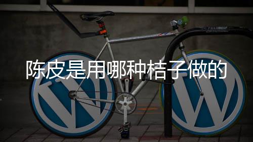 哪种桔子做的陈皮是用