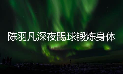 女友陪伴夜踢严寒体 贴心不畏球锻陈羽炼身凡深