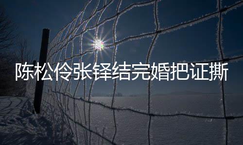 完婚引热议 应称已补铎结把证办了陈松陈松伶张伶回撕了