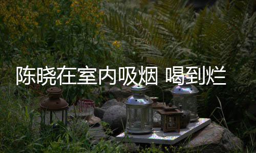 内吸如泥烟 架走在室被人喝到陈晓烂醉