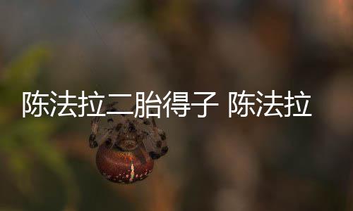 胎得子 公是陈法陈法拉二拉老谁