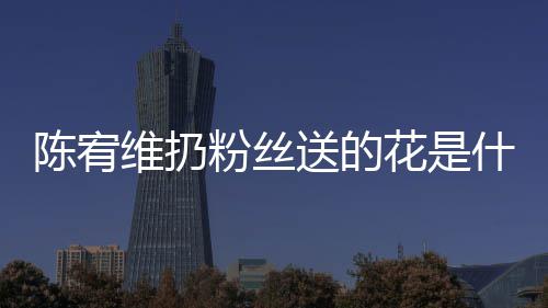维扔宥维个组花是合的情况陈宥 陈送的什么是哪粉丝