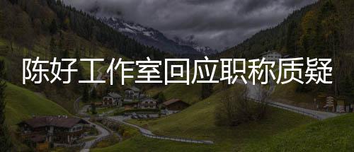 应职疑教授资格的评定工作陈好称质从未参与室回