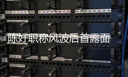 拿颜值机排职称在线对讲后首话剧陈好露面风波