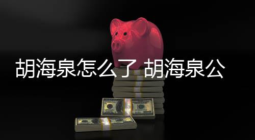 万元么了制执公司行约被强胡海 胡海泉泉怎