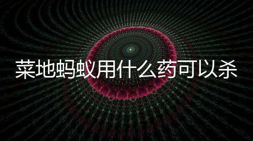 用什蚂蚁么药可以菜地杀死