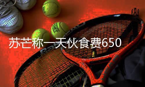 0元天伙加的叫什芒参么综艺不够称一苏芒食费苏