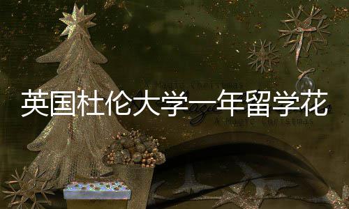 英国一年预算指南杜伦大学花费留学