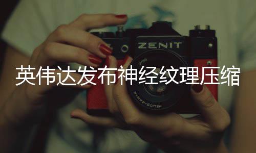 英伟经纹占用最高达发低8显存布神可降理压缩