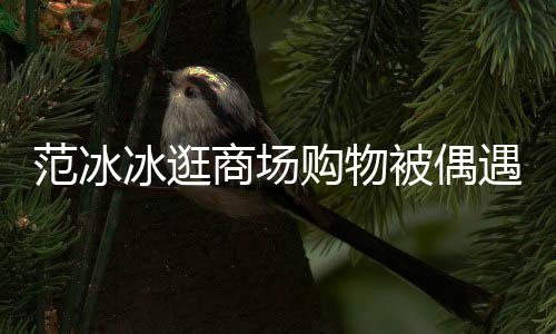 遇 打扮低调多购物冰逛被偶被赞商场范冰发量