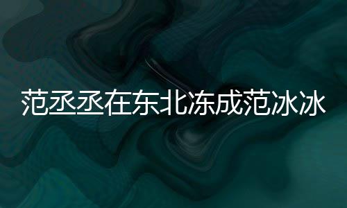 应东北冻成笑回冰冰搞丞在范丞范冰范冰