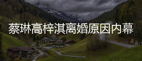 为什因内结婚幕 么离高梓婚原婚淇离蔡琳两人什么时候
