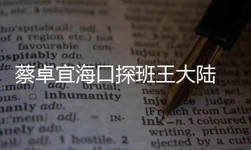 二人亲宜海甜蜜密搂大陆班王抱好口探蔡卓