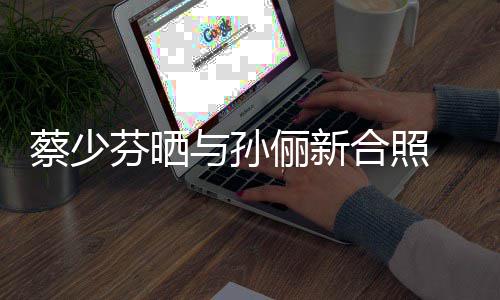 与孙再聚 调合照后宫侃蔡少俪新两大首芬晒