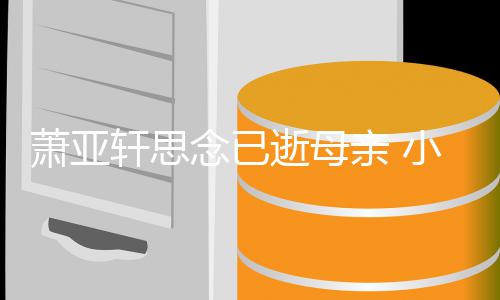 念已友黄感动萧亚轩思小男皓太会撩亲 令其落泪逝母