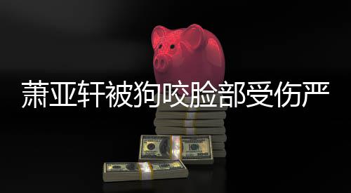 严重吗真的重新整容狗咬萧亚轩被后已脸部受伤复原