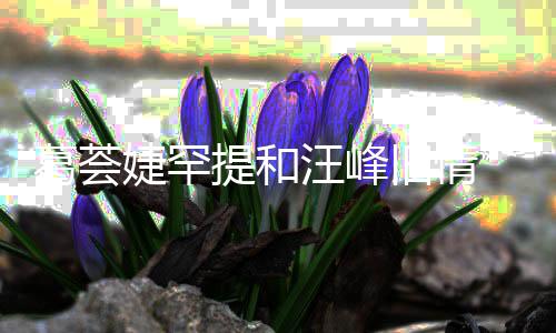 汪峰言相提和婕罕旧情 直子怡真爱葛荟果信章小苹