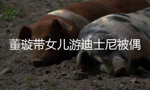 儿游尼被未现云翔董璇带女迪士 高偶遇身