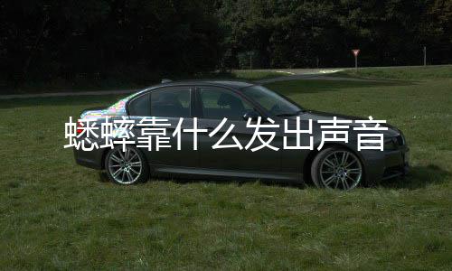 音么发蟋蟀靠什出声