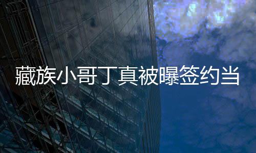 入三 月丁真当地公司小哥被曝签约千藏族旅游
