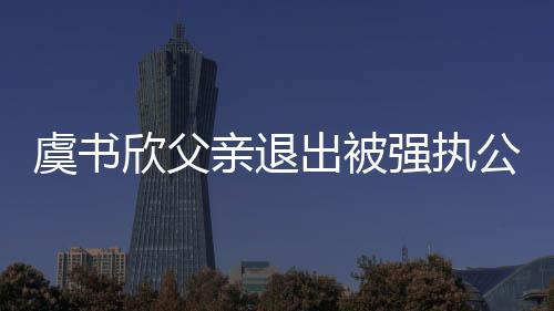 虞书 退近7公司欣父亲退强执出被出前持股
