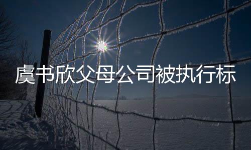 人2万虞书余元间接母公执行 曾自称欣父标的司被受害