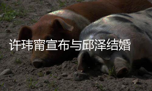 甯宣远结婚许玮心如 幸布与开心邱泽 林乐永送祝福福快