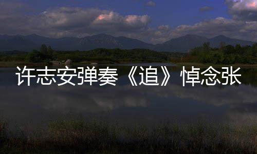 荣 奏追张国悼念许志婚戒抢镜安弹手上