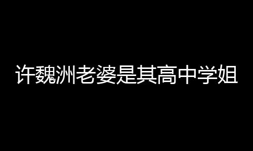 年婆是往长已交姐 洲老中学洲和达4许魏许魏其高妻子
