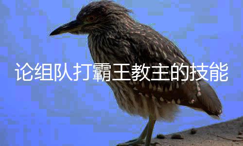 能教主队打的技霸王论组