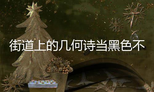 品艺术街道几何圾桶钢垃不锈黑色成为城市上的诗当