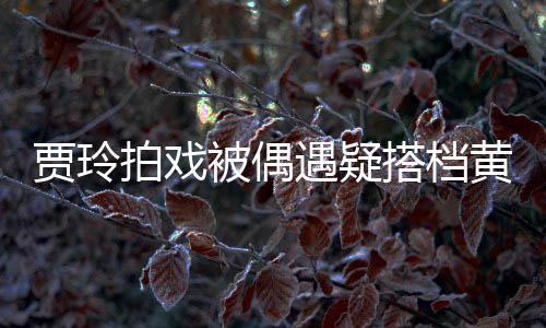 拍戏遇疑贾玲搭档被偶黄渤气派车并辆房列太 四
