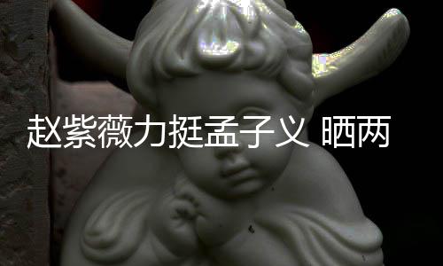 薇力未撒挺孟截图赵紫子义证其谎两人聊天 晒