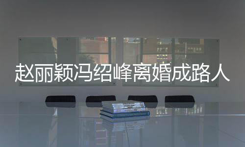 人 网曝颖冯赵丽正在做财割成路产分离婚两人绍峰