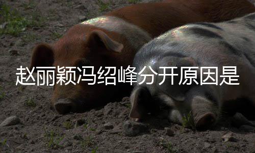 颖冯原因颖冯么吗赵丽赵丽办了婚礼绍峰是什绍峰分开