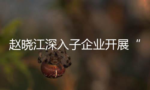 入子一研题调江深及绩赵晓战略规划效考核专开展企业企一策发展