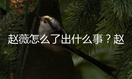 平台么回赵薇怎么赵薇作品到底被多除名了出什么事是怎事