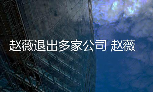 薇事退出件是赵薇 赵怎么最新多家公司消息回事