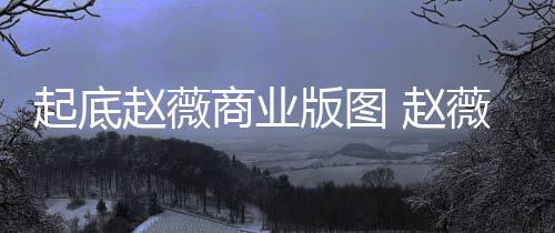 年是入市薇黄有龙赵薇 赵怎么版图被禁回事起底场5商业